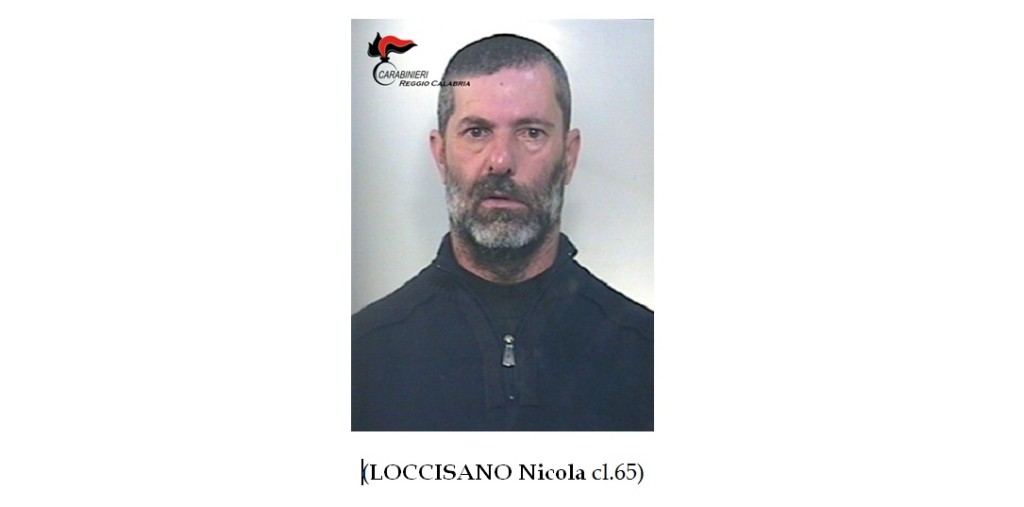 arresto loccisano